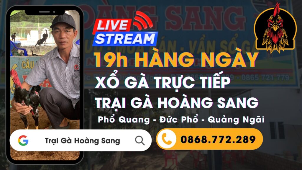 Video 20:48 ngày 24/8 – Trại Gà Hoàng Sang